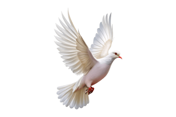 White Dove Flying T-shirt 3D PNG: A Design Essential